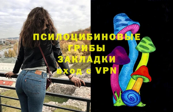 дмт Новодвинск