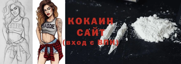 дмт Новодвинск
