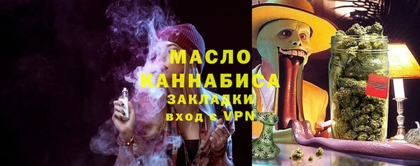 дмт Новодвинск