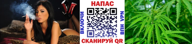 МАРИХУАНА план  Купить где  Новороссийск 